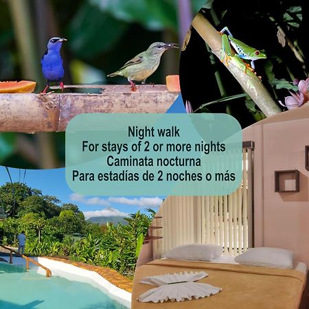 Cabanas Del Rio La Fortuna Extérieur photo
