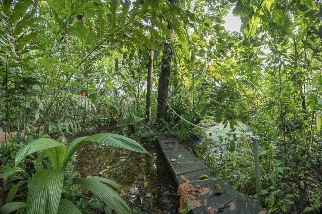 Cabanas Del Rio La Fortuna Extérieur photo