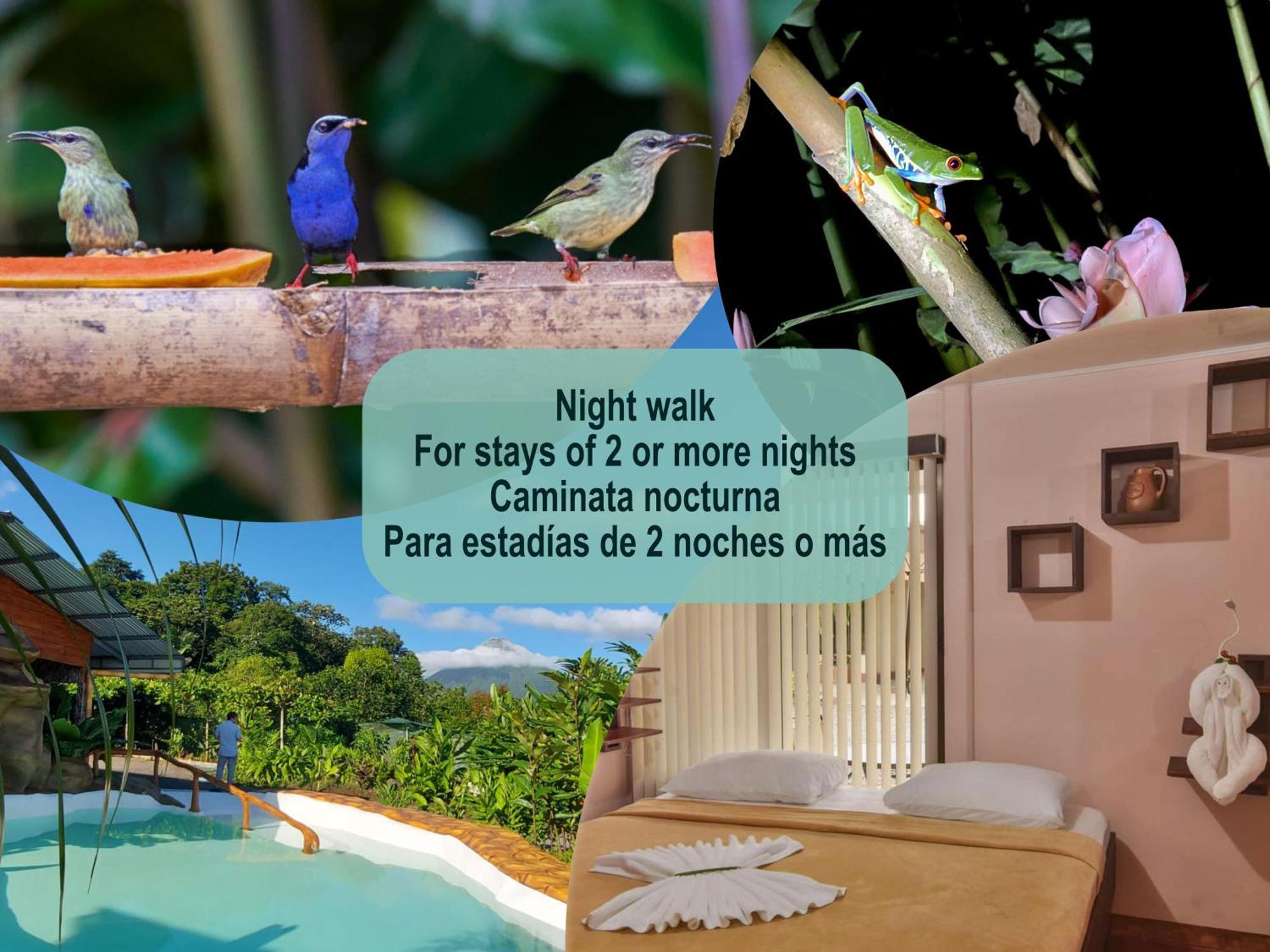 Cabanas Del Rio La Fortuna Extérieur photo
